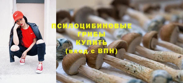 стаф Армянск