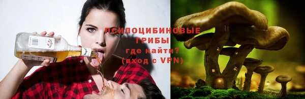 МДПВ Арсеньев